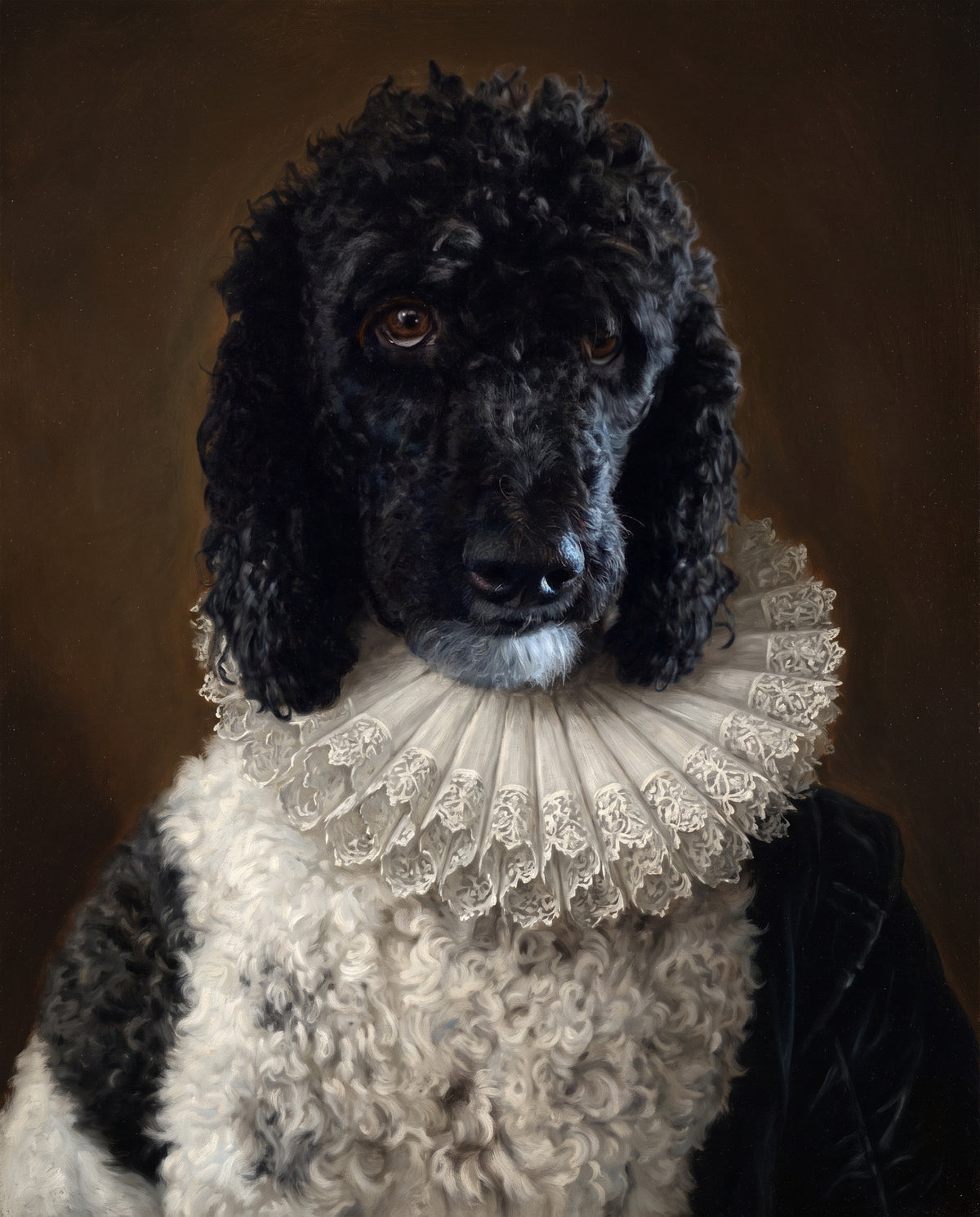 Velvet Ruff Renaissance style custom pet portrait of a black and white standard poodle.