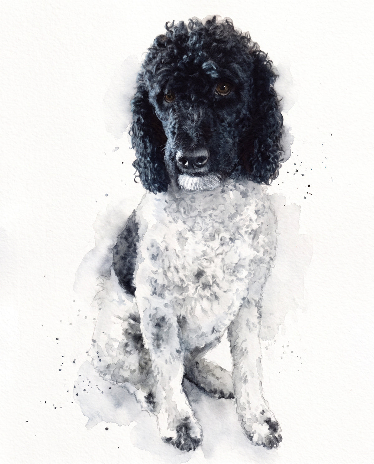 Velvet Ruff Watercolor style custom pet portrait of a black and white standard poodle.